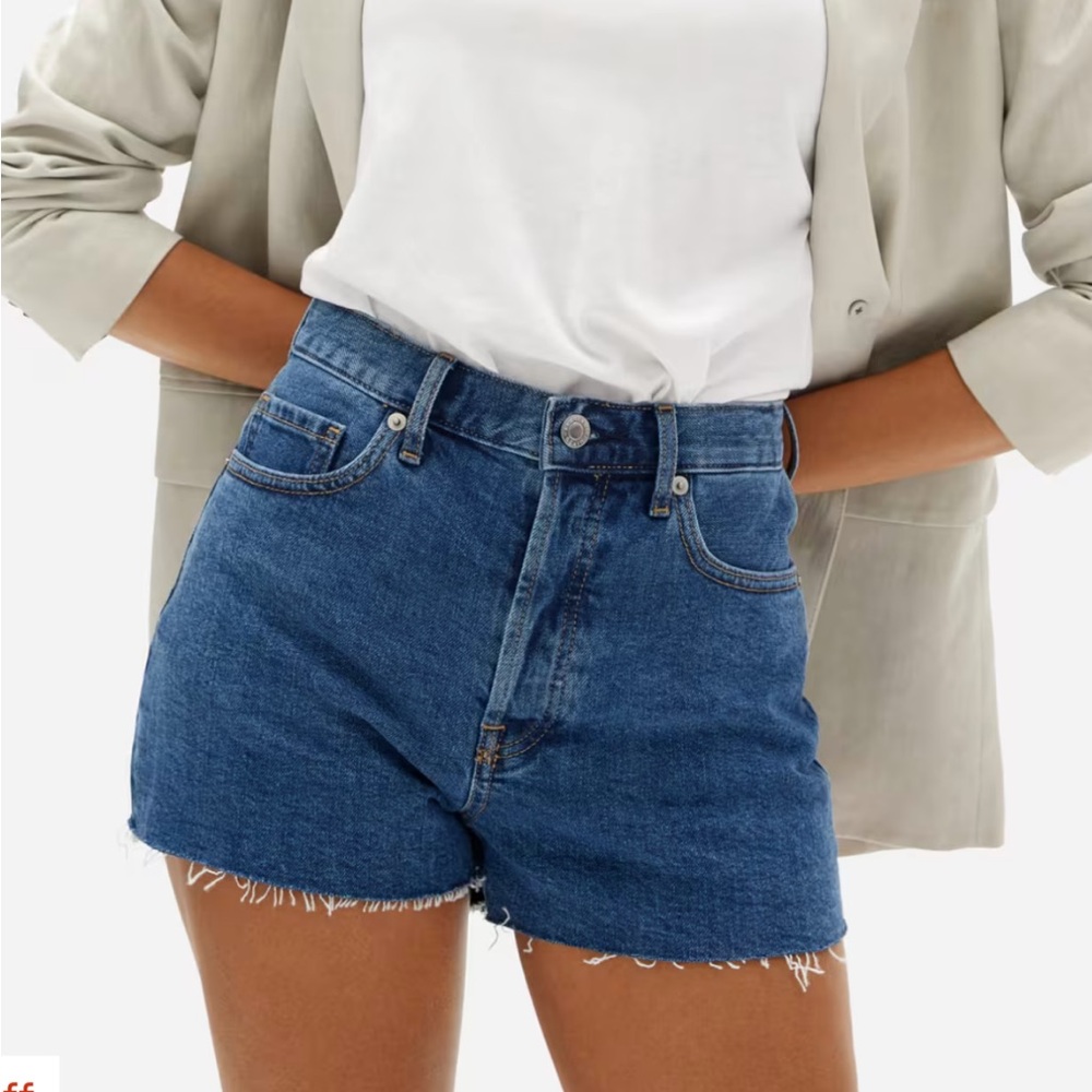 NWOT everlane the cheeky short